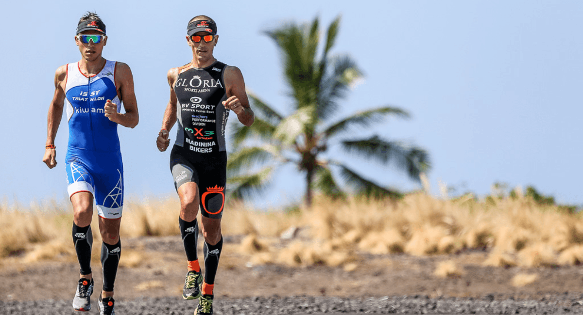 Funktionsweise des Nervensystems